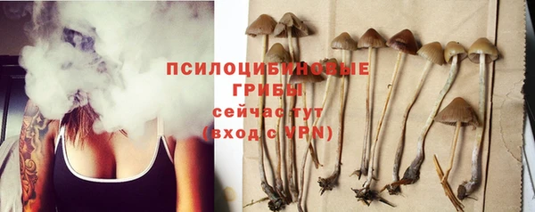 индика Нефтекумск