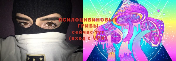 индика Нефтекумск