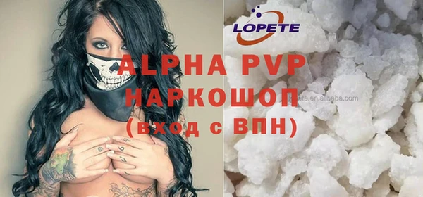 индика Нефтекумск
