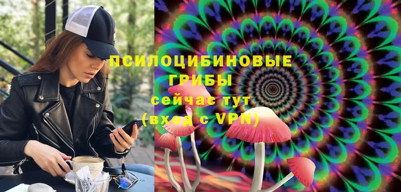 Псилоцибиновые грибы Cubensis  купить наркоту  Калач-на-Дону 