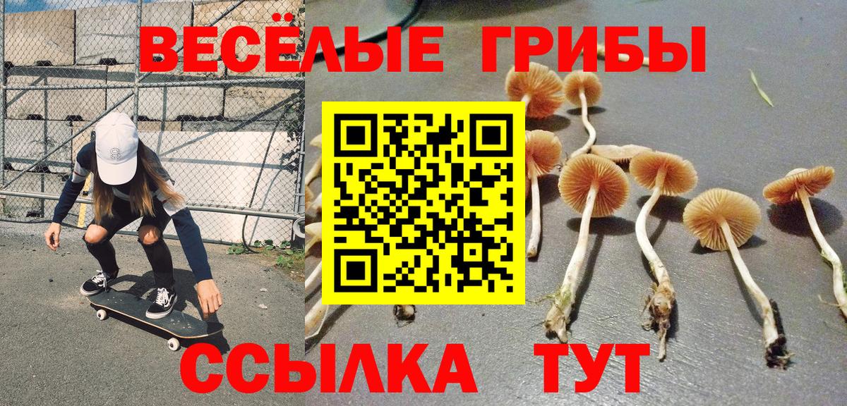 даркнет сайт  Псилоцибиновые грибы Psilocybine cubensis  Калач-на-Дону  Псилоцибиновые грибы мухоморы 