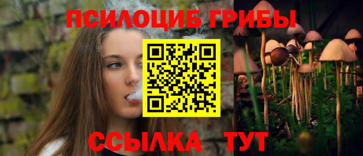 Псилоцибиновые грибы GOLDEN TEACHER  Псилоцибиновые грибы мицелий  Калач-на-Дону  Вход с VPN 
