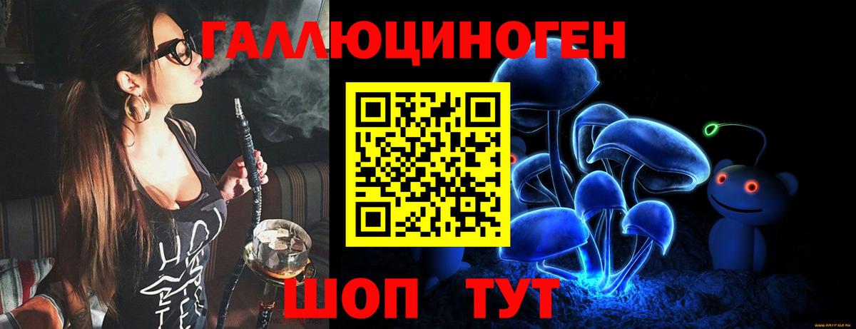 Псилоцибиновые грибы прущие грибы Калач-на-Дону
